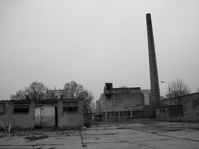 photo19.jpg