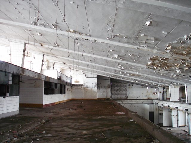 photo35.jpg