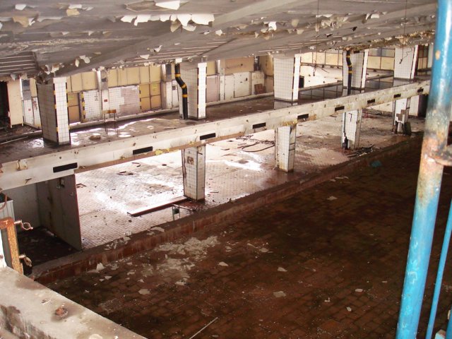 photo46.jpg