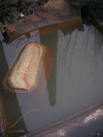 photo8.jpg