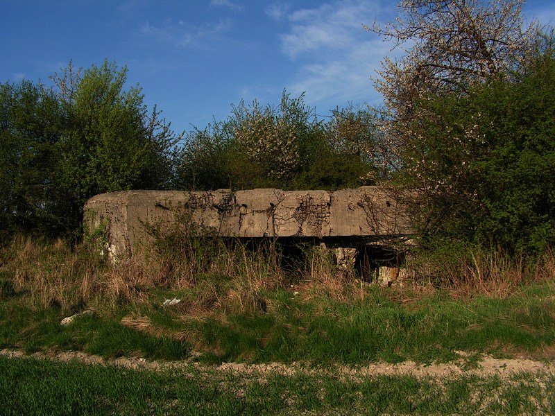 photo3.jpg