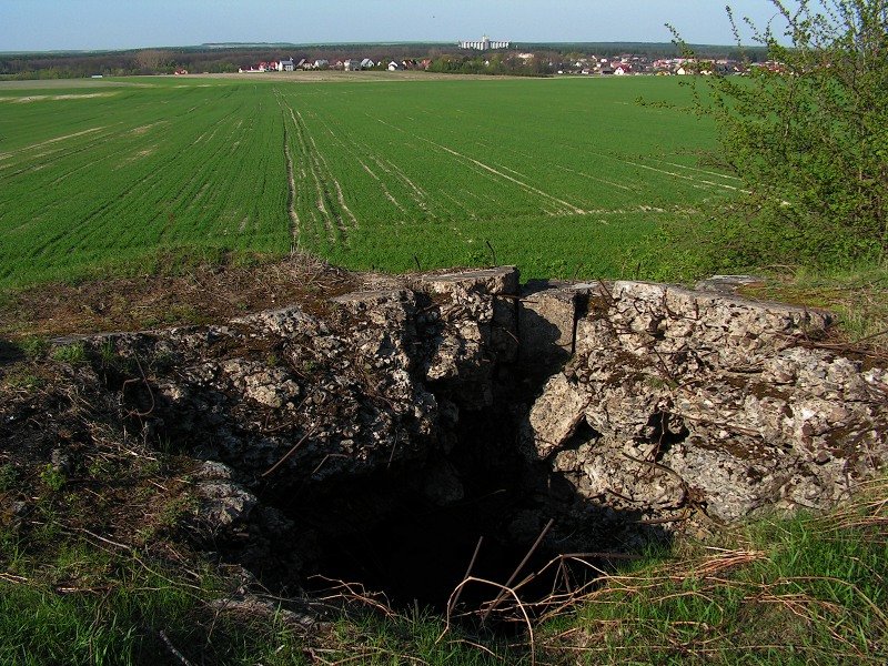 photo8.jpg