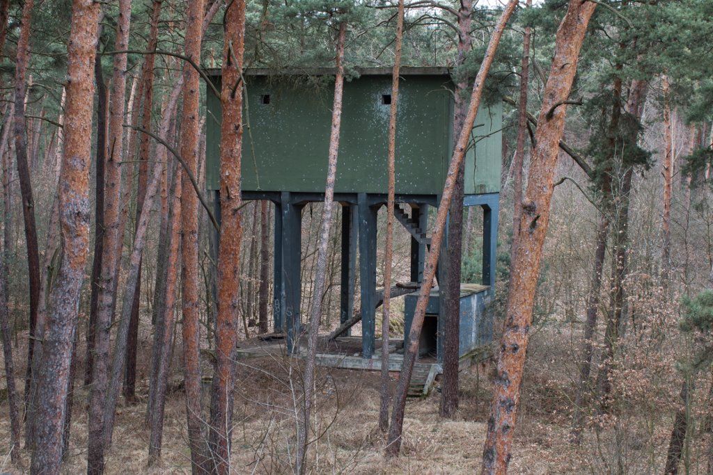 photo2.jpg