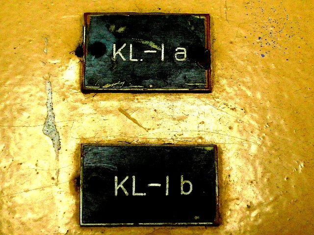 photo6.jpg