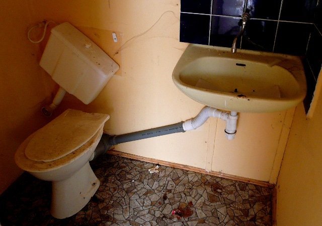 photo5.jpg