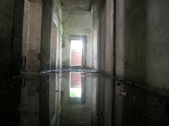photo22.jpg