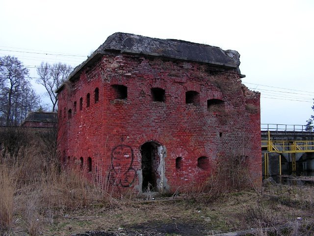 photo6.jpg
