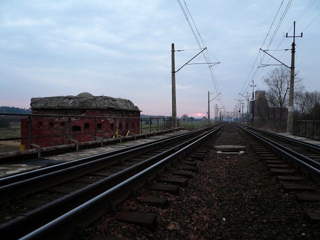 photo8.jpg