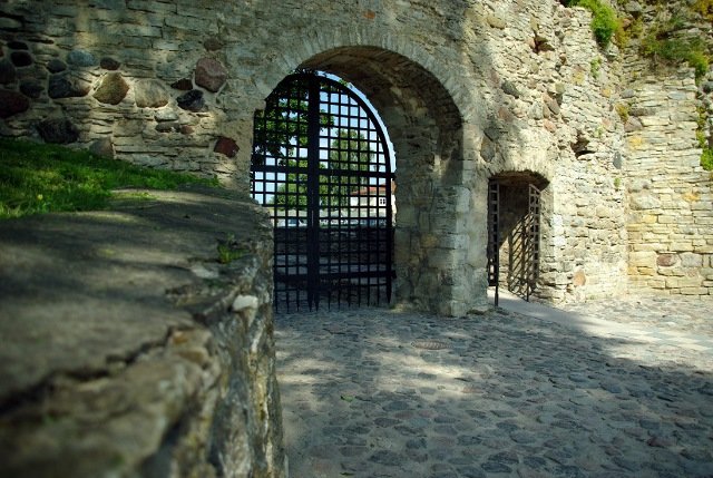 photo3.jpg