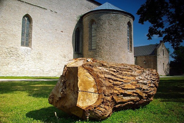 photo4.jpg