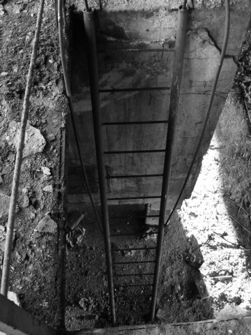 photo15.jpg