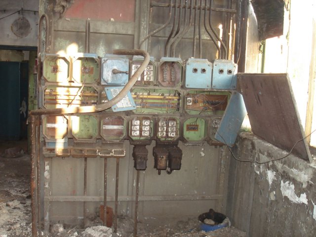 photo7.jpg