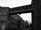 photo5_small.jpg