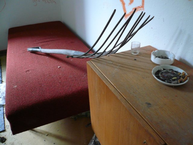 photo9.jpg