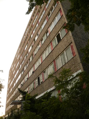 photo2.jpg