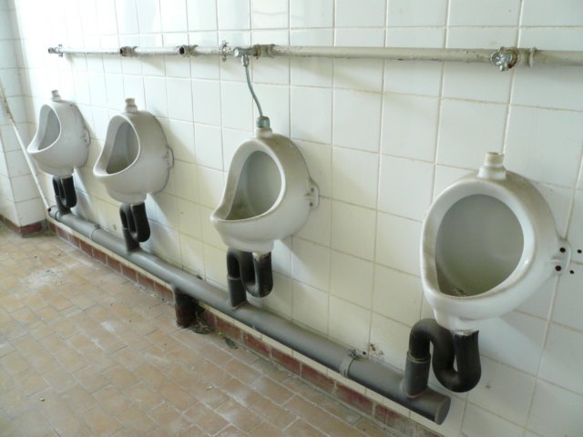 photo6.jpg