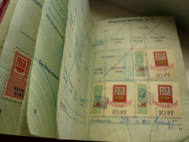 photo15.jpg