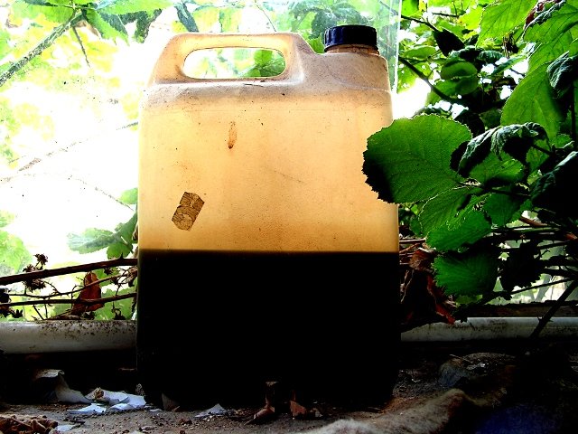 photo11.jpg