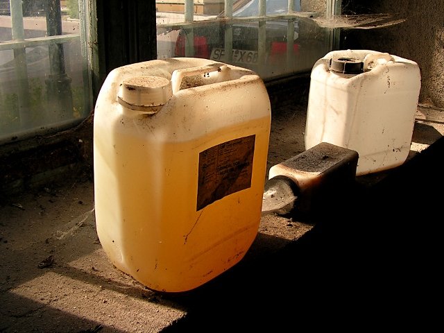 photo2.jpg