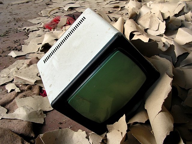 photo9.jpg