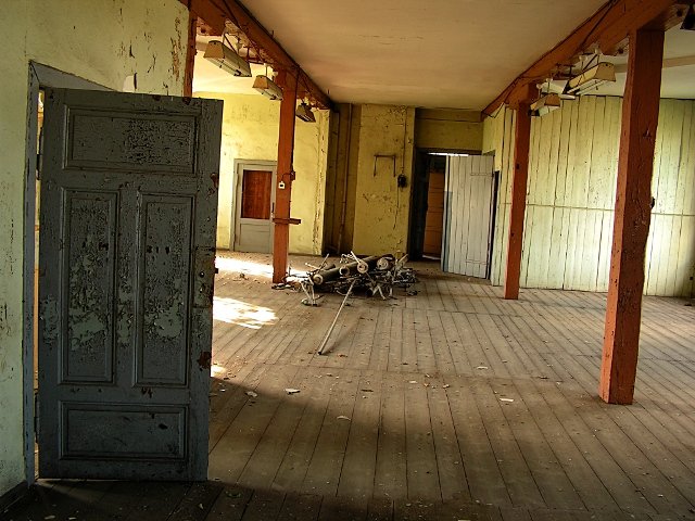 photo4.jpg