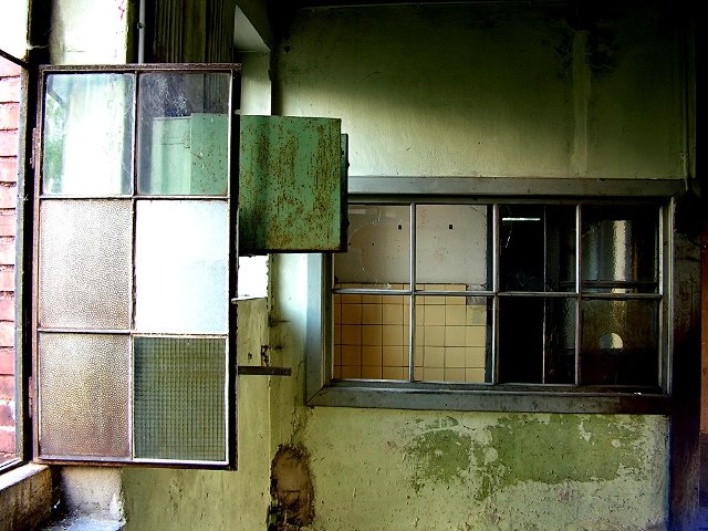 photo7.jpg