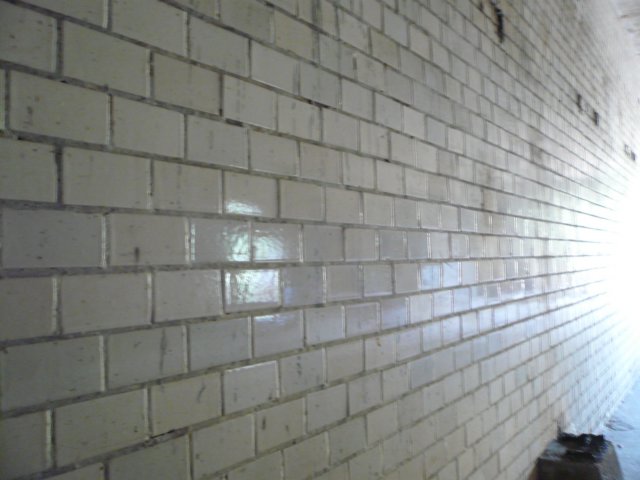photo7.jpg