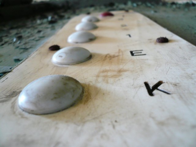 photo5.jpg