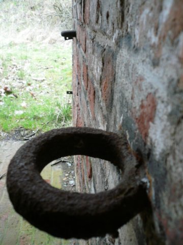 photo20.jpg