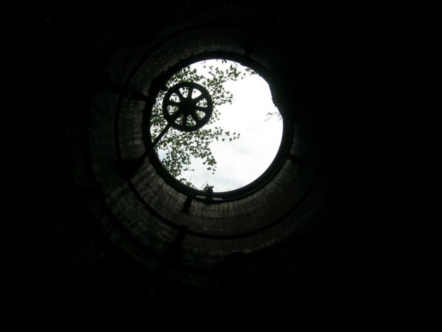 photo26.jpg