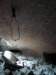 photo7_small.jpg