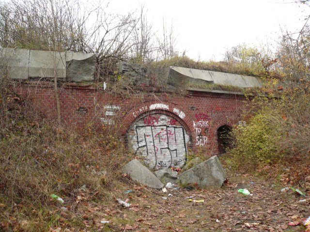 photo11.jpg