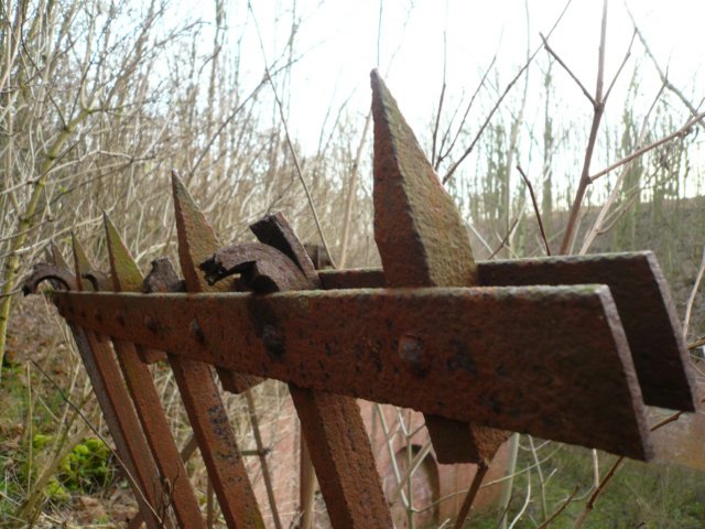 photo13.jpg