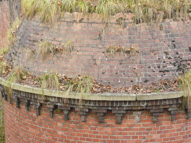 photo21.jpg