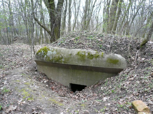 photo2.jpg
