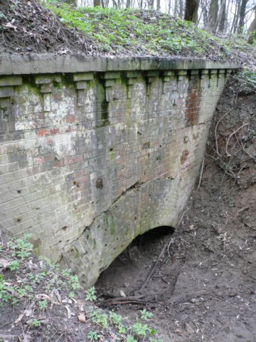 photo9.jpg