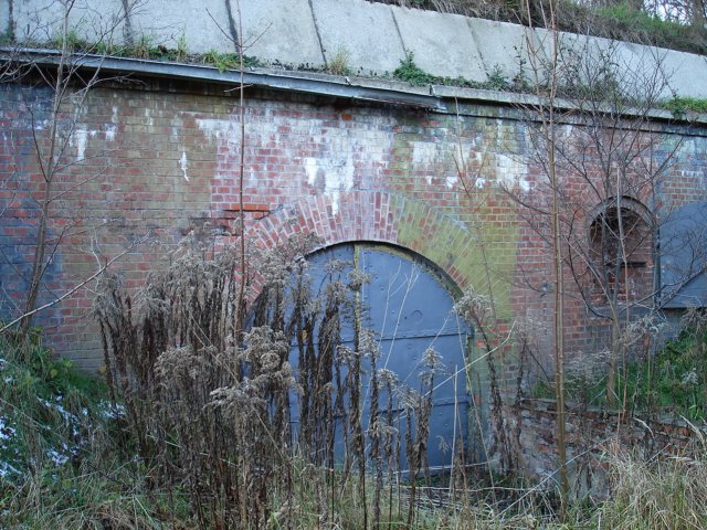photo14.jpg