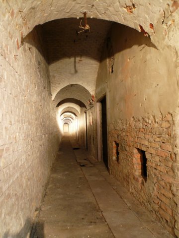 photo23.jpg