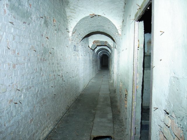 photo27.jpg