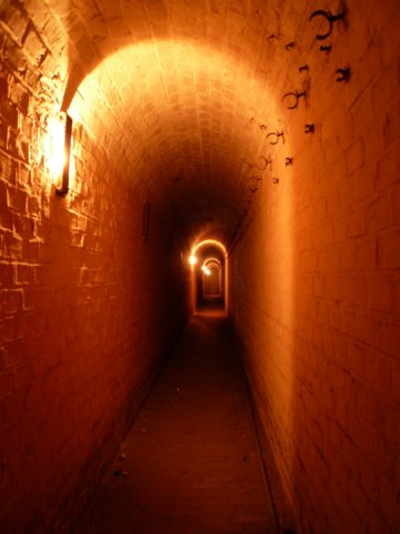 photo46.jpg