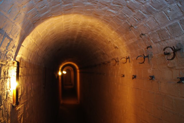 photo47.jpg