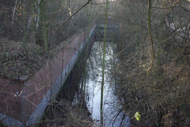 photo16.jpg