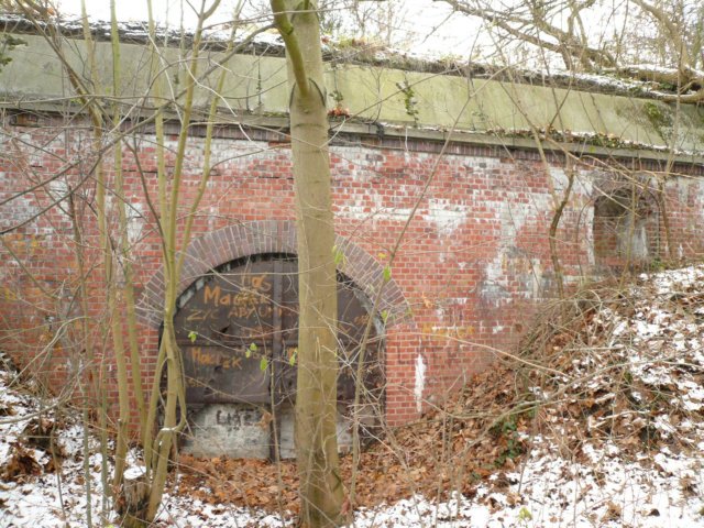 photo29.jpg