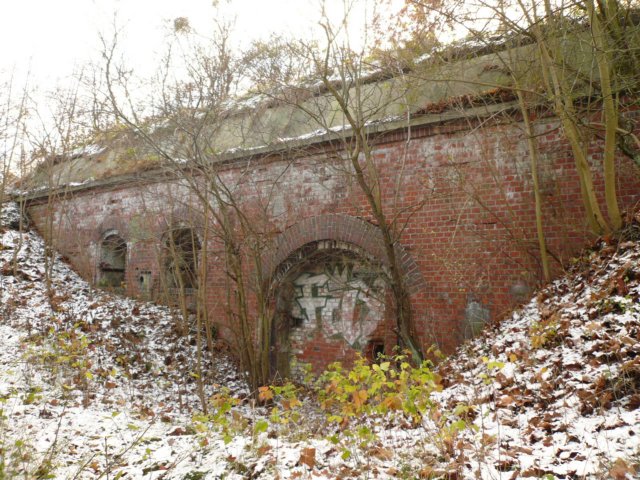 photo43.jpg