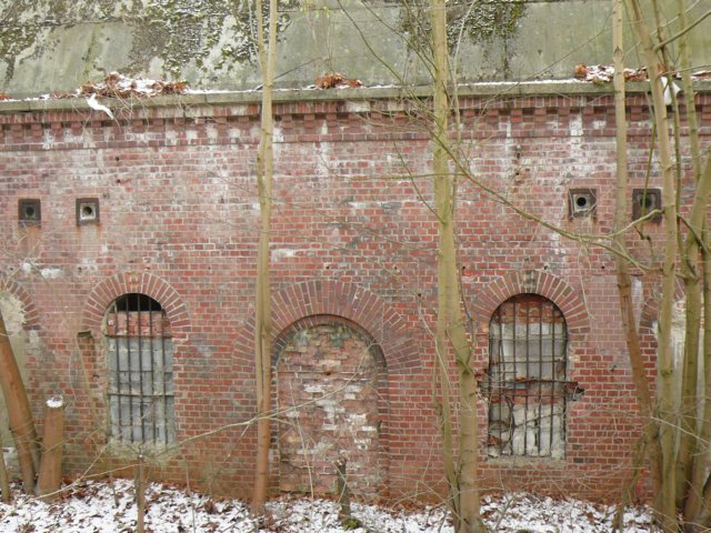 photo47.jpg