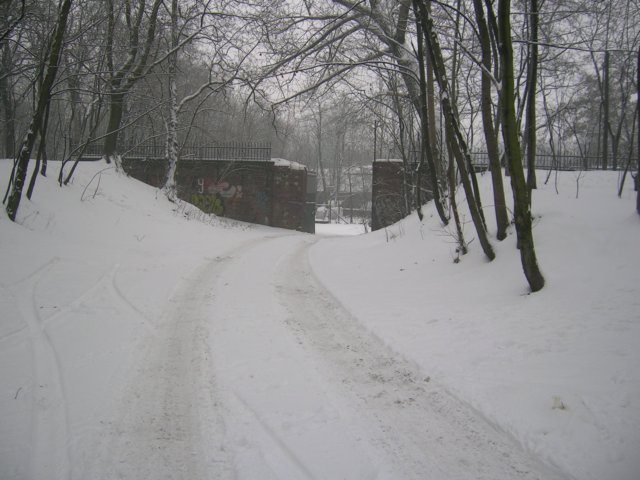 photo20.jpg