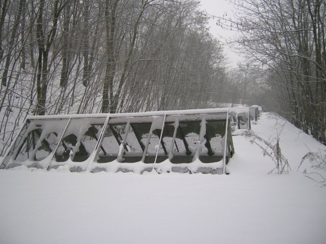 photo23.jpg