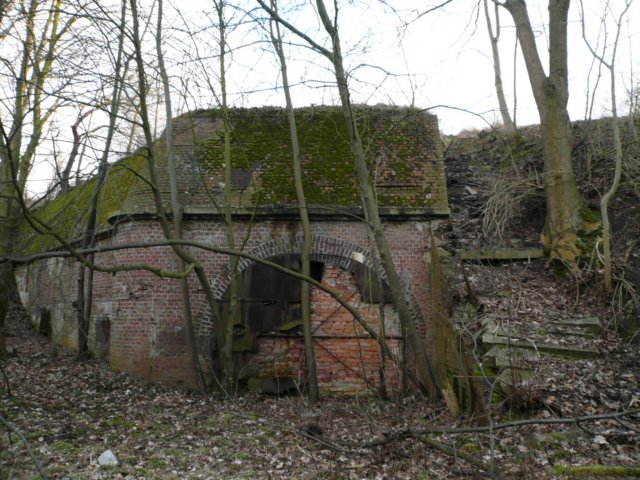 photo27.jpg