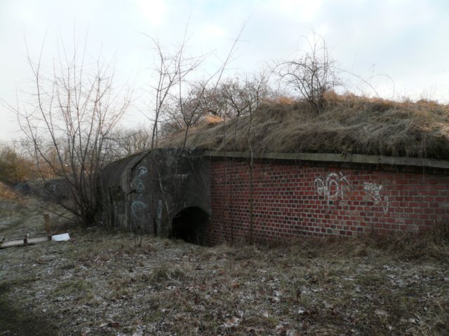 photo28.jpg
