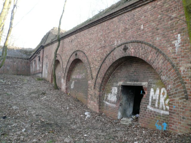 photo7.jpg